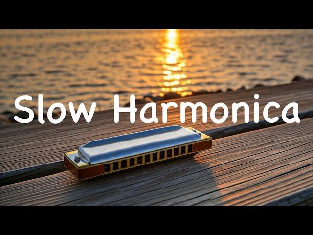 Slow Harmonica Blues Instrumental BGM | To Work,Study relax sleep music