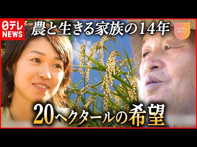 【家族の１４年】困難乗り越え”米作り”追求する女性  20ヘクタールの希望『Nドキュポケット』　NNNセレクション