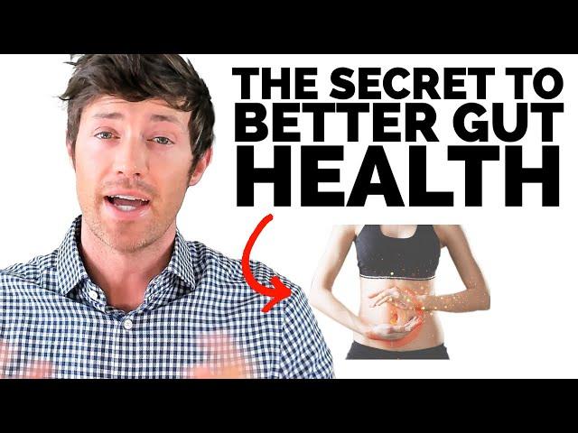 The KEY To Healing Your Gut (You're Missing This)