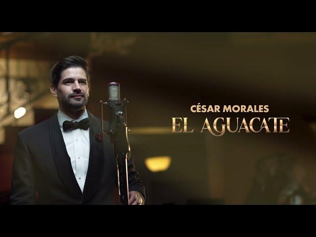 El Aguacate - Cesar Morales - Concierto Acústico