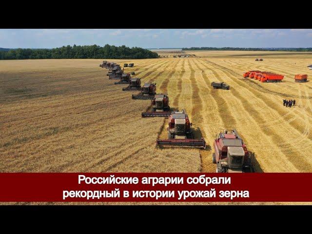 Российские аграрии собрали рекордный в истории урожай зерна