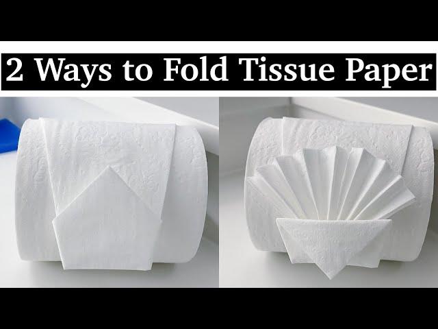 How to Fold Toilet Paper Like a Hotel || Fancy and Unique