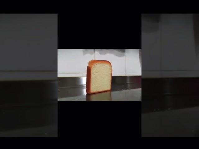 BREAD  #funny #bread #memes #comedy #youtubeshorts #youtube #shorts