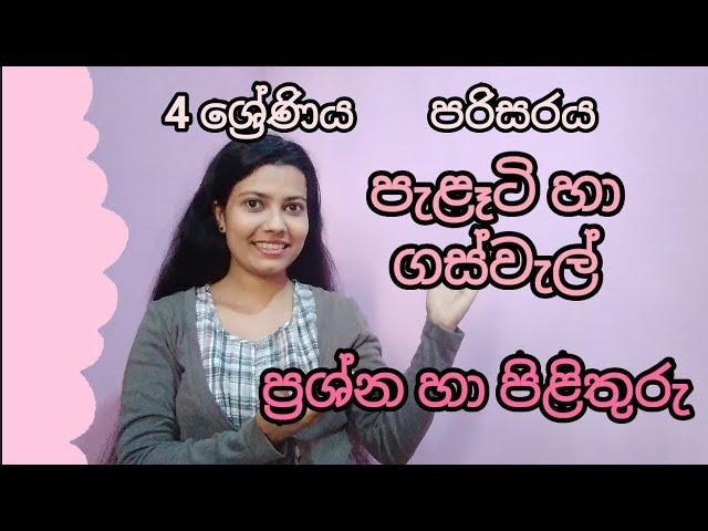 පැළෑටි හා ගස්වැල් 4 ශ්‍රේණිය පරිසරය | palati ha gaswal | for teachers