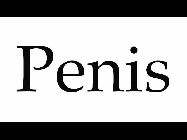 How to Pronounce Penis