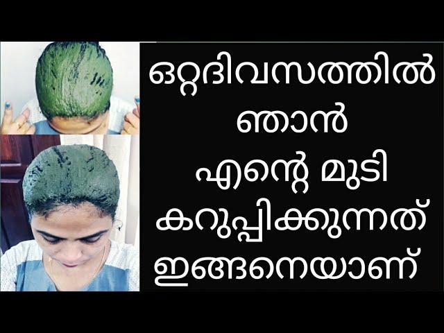 ഒറ്റദിവസത്തിൽ ഞാൻ എന്റെ മുടി കറുപ്പിക്കുന്നത് ഇങ്ങനെയാണ് NO CHEMICAL ️ NO AMONIA️ 100% NATURAL DYE