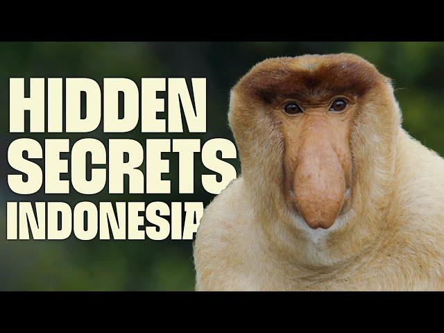 Incredible Survival of Indonesian Wildlife | FULL DOCUMENTARY | Wild Indonesia | @UltimateNatureDocs