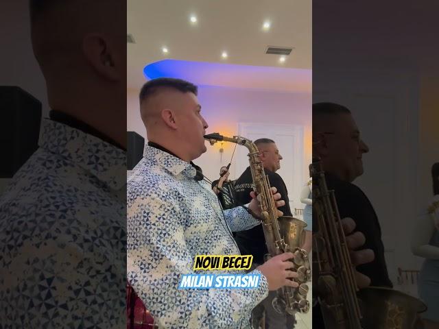 NOVI BECEJ / MILAN STRASNI #music #uzivo #live #saxophone #milanstrasni #talent #muzika #duet #funny