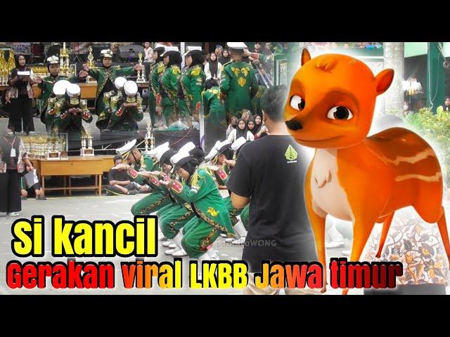 Si KANCIL ‼️ Tak asing lagi di jajaran LKBB Jawa Timur ‼️ LKBB Sanjaya