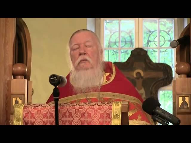 О расслабленном!!!Священник Димитрий Смирнов.