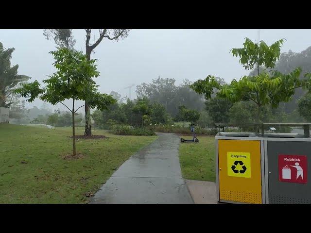 Walking Through a Flooded Hanlon Park