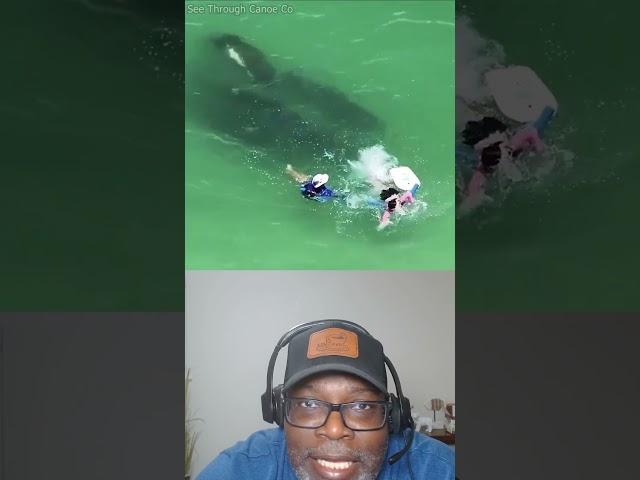 That's Not a Pool. That's the Ocean!