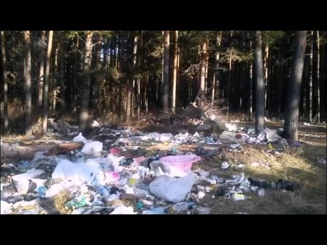 Максим Сафиулин - Не путайте природу с общепитом! (авторская)