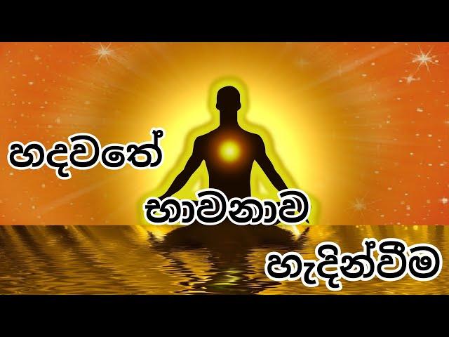 හදවතේ භාවනාව හැදින්වීම - Heart Meditation Introduction