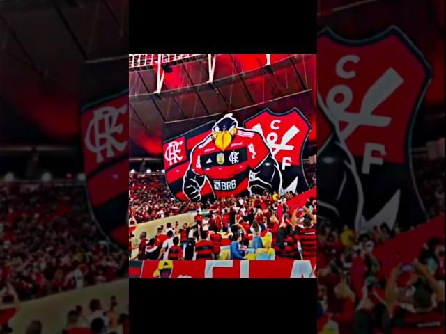 A Favela Vai Virar Baile (Nova música do Flamengo) #shorts #flamengo