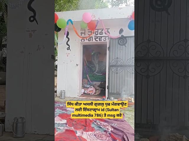 ਸਿੱਧ ਕੀਤਾ ਅਸਲੀ ਗੁਗਲੁ ਧੁਫ ਮੰਗਵਾਉਣ ਲਈ ਇੰਸਟਾਗ੍ਰਾਮ id (Sultan multimedia 786) ਤੇ msg ਕਰੋ #peer