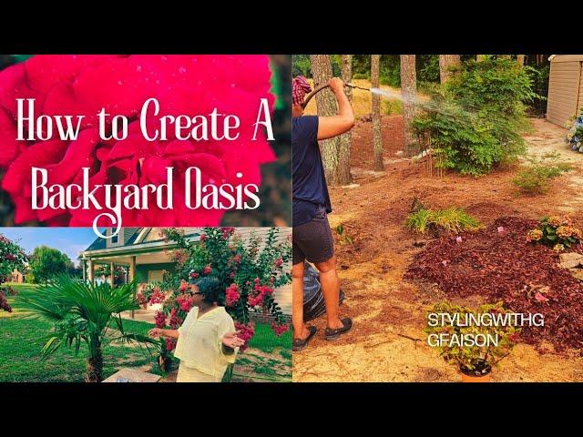 My Outdoor Oasis Journey Unveiled | Rose Garden | New Flower Bed