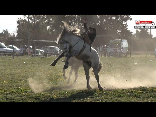 GRAN RUEDA 50 CABALLOS categorías  CLINA  y GURUPA SEP 2024