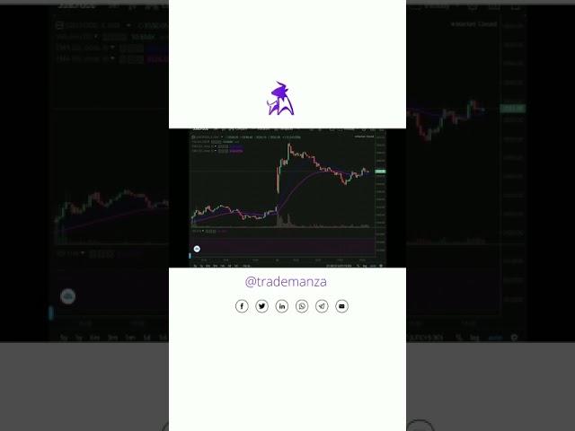 Trademanza | Stock Analysis