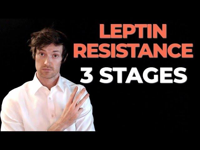 3 Stages of Leptin Resistance (and what they mean for weight loss)