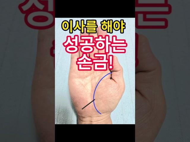 이사나 여행을 해야 성공하는손금!여행선.독립선 #손금 #손금보기 #손금보는법