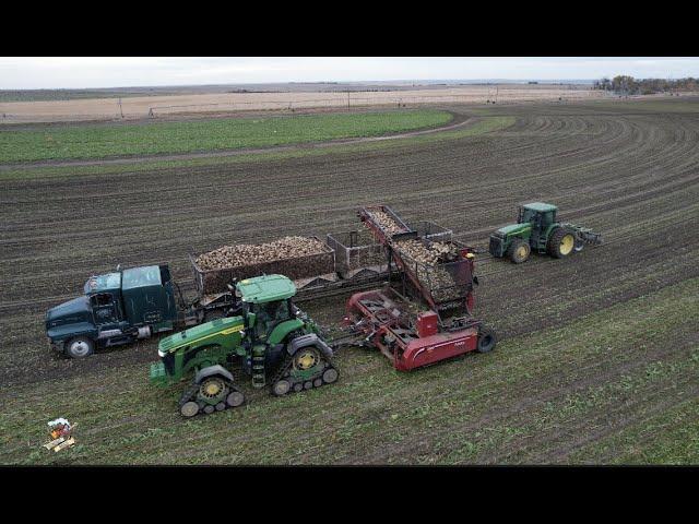 Colorado Sugar Beet Harvest - 2022