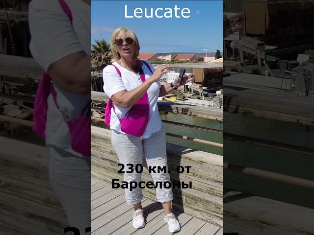 Любите ли вы устрицы также как я #spasibuxina #барселона #гидвбарселоне #устрицы #барселона
