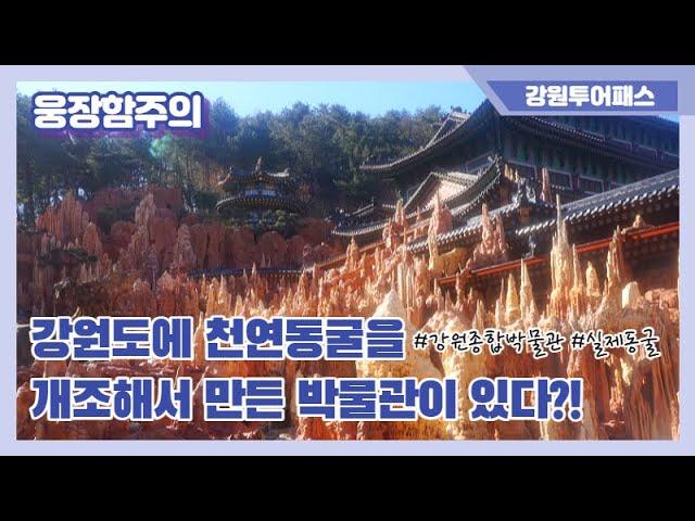 삼척여행 / 압도적 스케일!! / 강원종합박물관