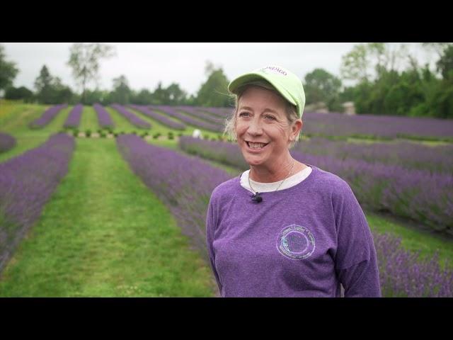 Sit back, relax and enjoy a tour of Indigo Lavender Farm