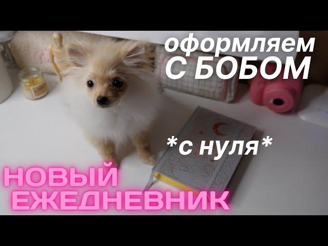 КАК СДЕЛАТЬ ЕЖЕДНЕВНИК С НУЛЯ | ВОЗОБНОВЛЕНИЕ РУБРИКИ?