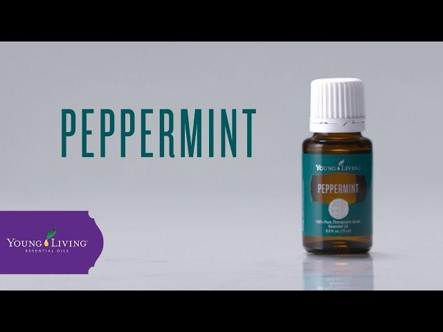 Peppermint Essential Oil: Benefits & Uses | Young Living Essential Oils