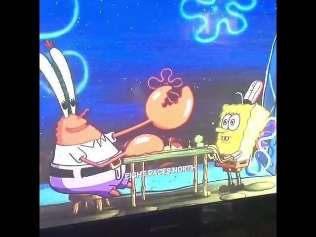 The chill chicken had the influence to be SpongeBob until...