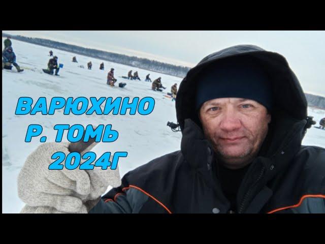 17.11.24г. БОЛЬШЕ 100 ЧЕЛОВЕК !!! РЫБАЛКА р.ТОМЬ ВАРЮХИНО