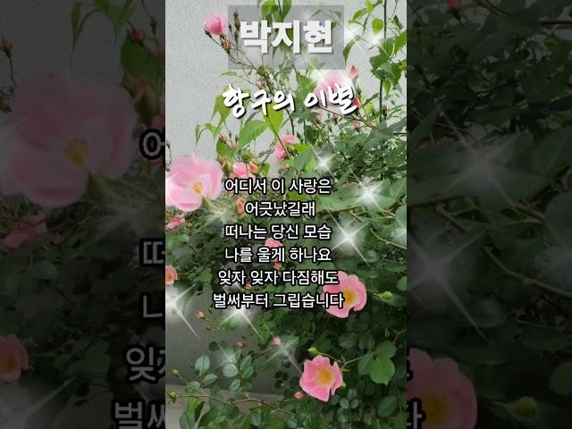 #박지현 #항구의이별 #나혼자산다 #엔돌핀 #미스터트롯2