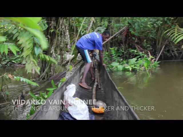 Boar hunting in Papua New Guinea