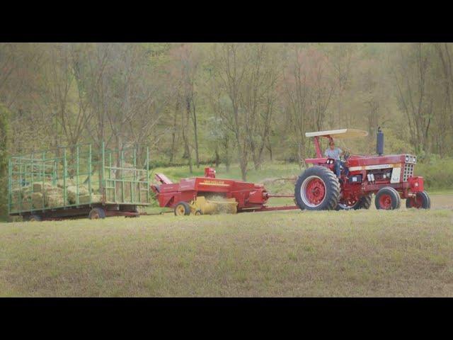 Making IDIOT Cubes with IH 966 (Baling Hay 2022)