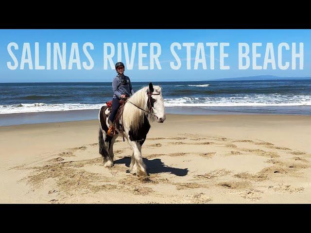 Draft horse on the beach! | GoPro horseback ride | Salinas River State Beach review