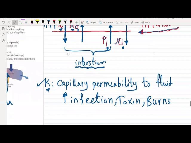 ECG Part 1 for USMLE Step 1 and Step 2 CK - (Free trial course in Description Below)