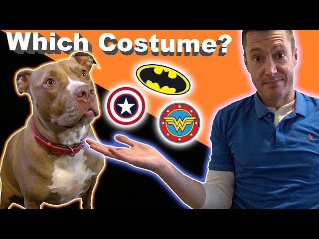 Which Halloween Costume will Penny Pick?