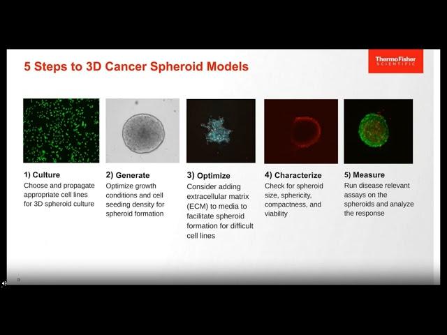 Disease model generation: 5 steps to a 3D cancer spheroid model