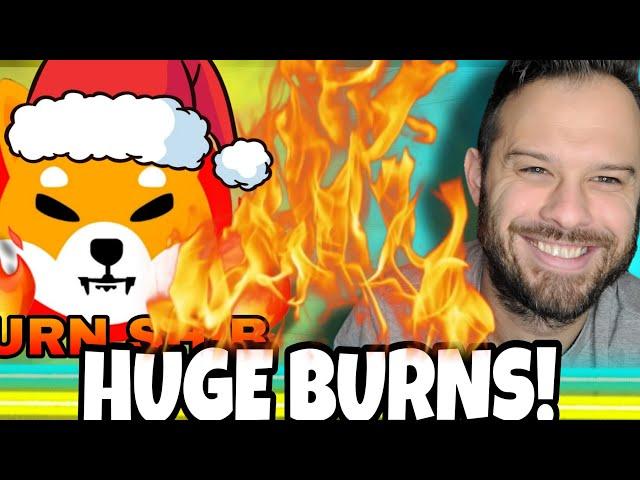 Shiba Inu Coin | 250 Million SHIB Burn! Christmas Gains Ahead!