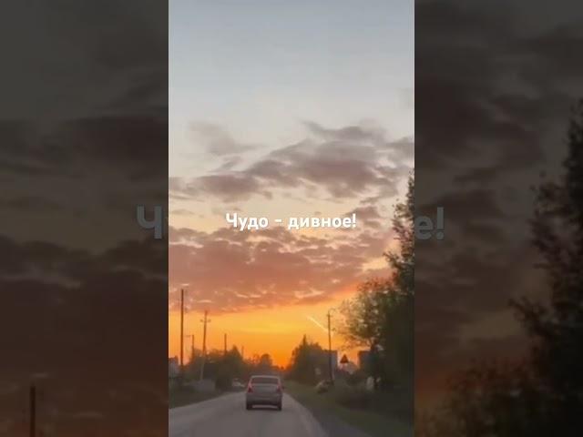 Выразить свой восторг...
