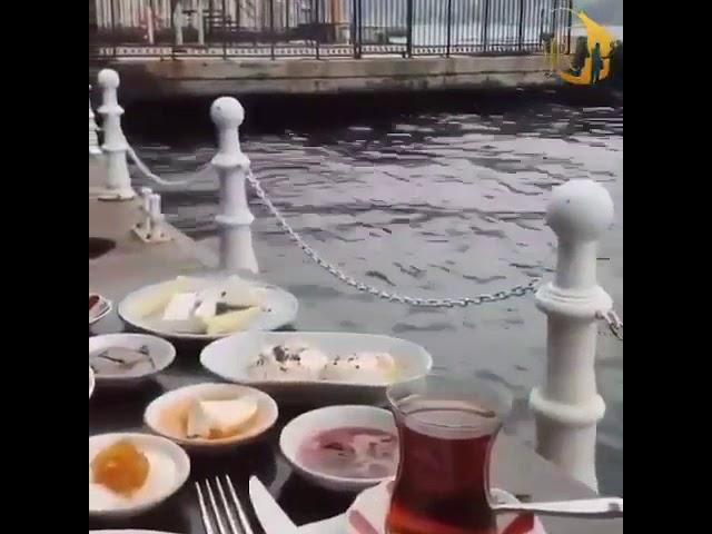 Сиз биласизми