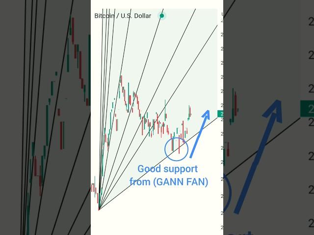  Gann trading strategy  #shorts #trading