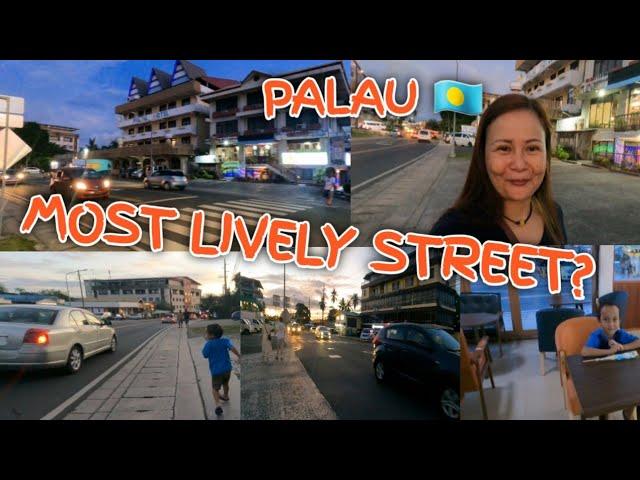 WHAT YOU SEE IN THE BUSIEST STREET OF KOROR REPUBLIC OF PALAU  #micronesia #islandlife