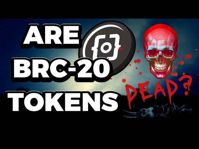 BRC 20 Tokens | Are They Dead?