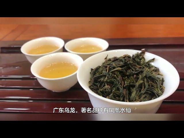 青茶四大茶类，乌龙茶的分类