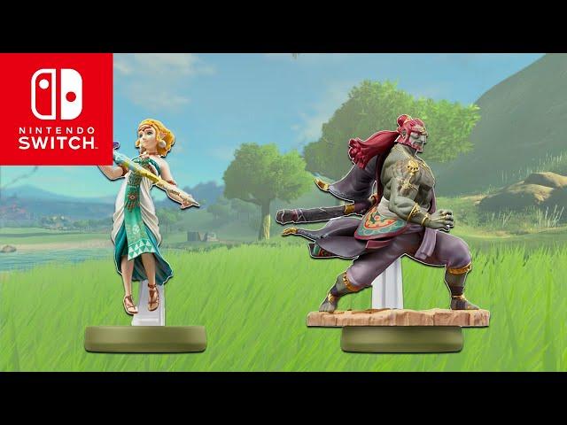 TOP 8 Nintendo Switch Accessories for The Legend of Zelda Fans