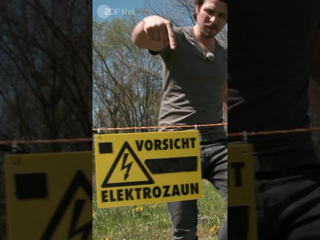 Stromschlag beim Pinkeln. Autsch! | Checkpoint ZDF