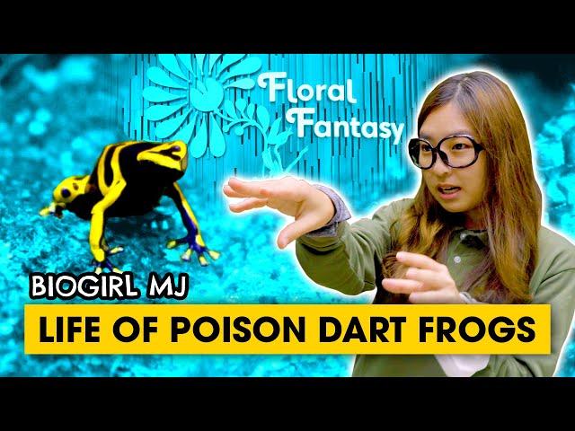 How poison dart frogs become poisonous | Biogirl MJ